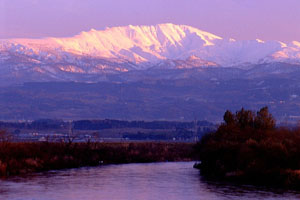 �[���ɋP�����R