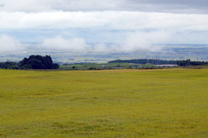 ���H�̏�������