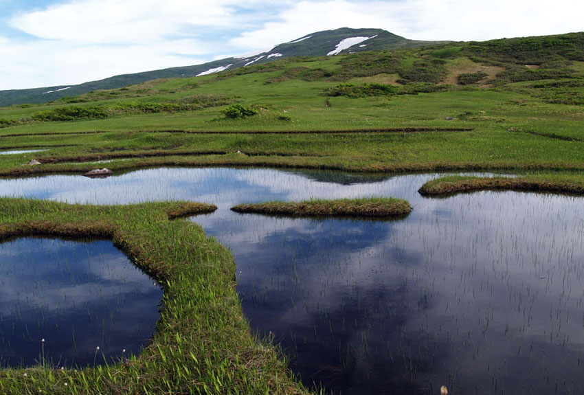 ���R��Ƀ���