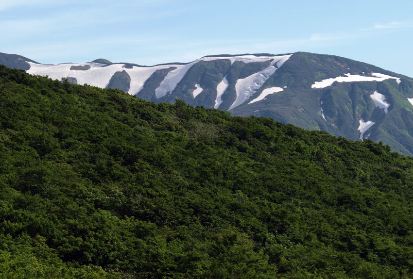 ���R��Ƀ���