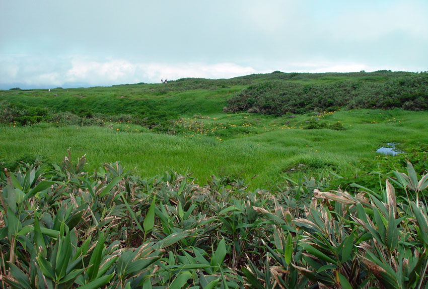 ���R��Ƀ���