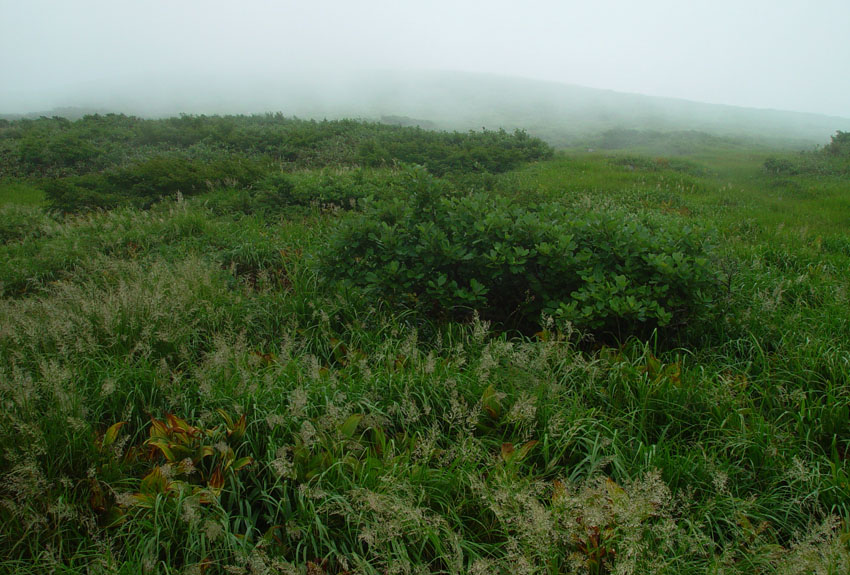 ���R��Ƀ���