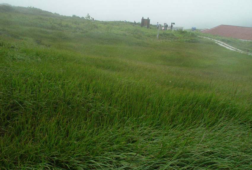 ���R��Ƀ���