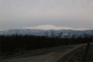 �Ԑ�y�肩�猩���~�̌��R