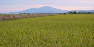 ��������ƒ��C�R