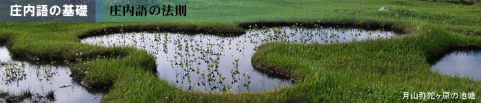 ������̖@��