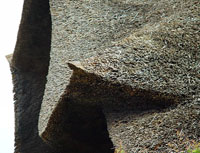 ���Â���̉���